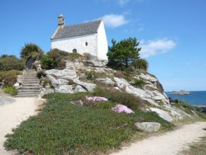 Prestations touristiques port de Roscoff croisière BLB CRUISES